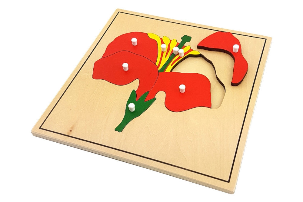 Flower puzzle with pieces representing the receptacle, corolla, stamen, and pistil. Puzzle has a thin black border.