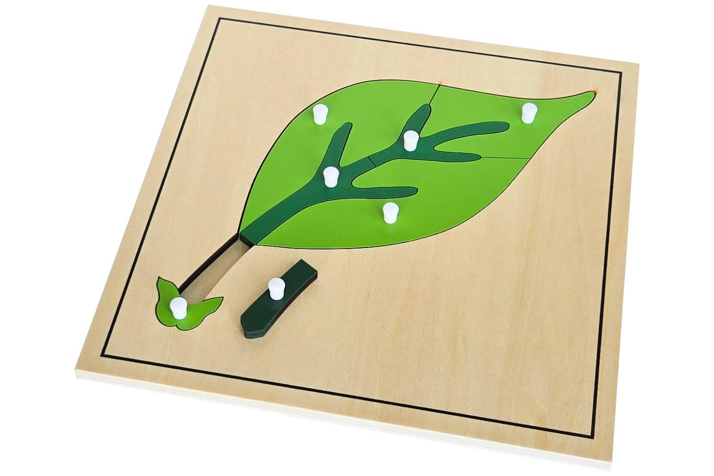 Leaf Puzzle