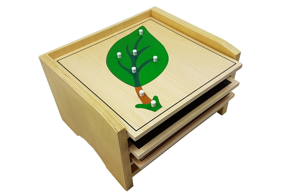 3 botany puzzles in a wooden cabinet. The leaf puzzle is on top of the cabinet.