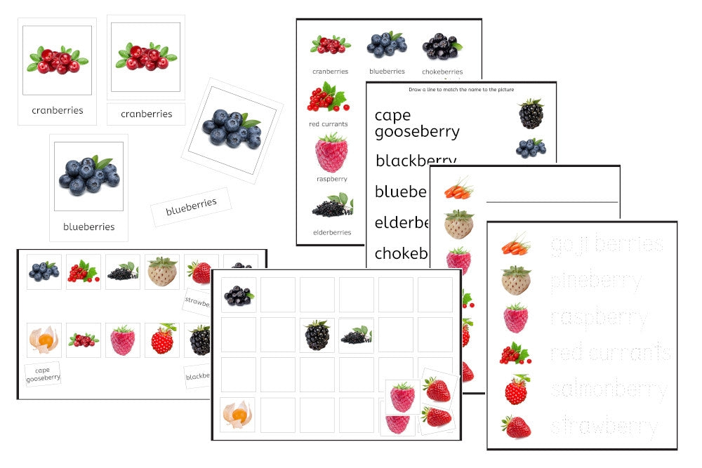 Berries Exercise Set (PDF)