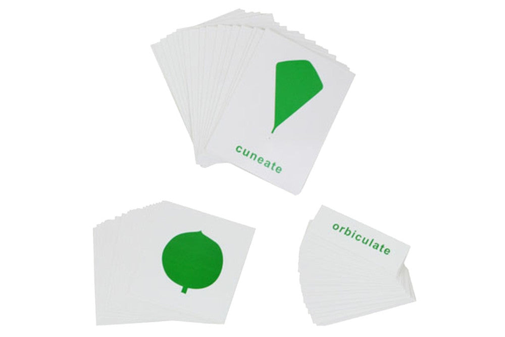 3-part cards for the botany leaf cabinet: labeled card, unlabeled card, and label only.