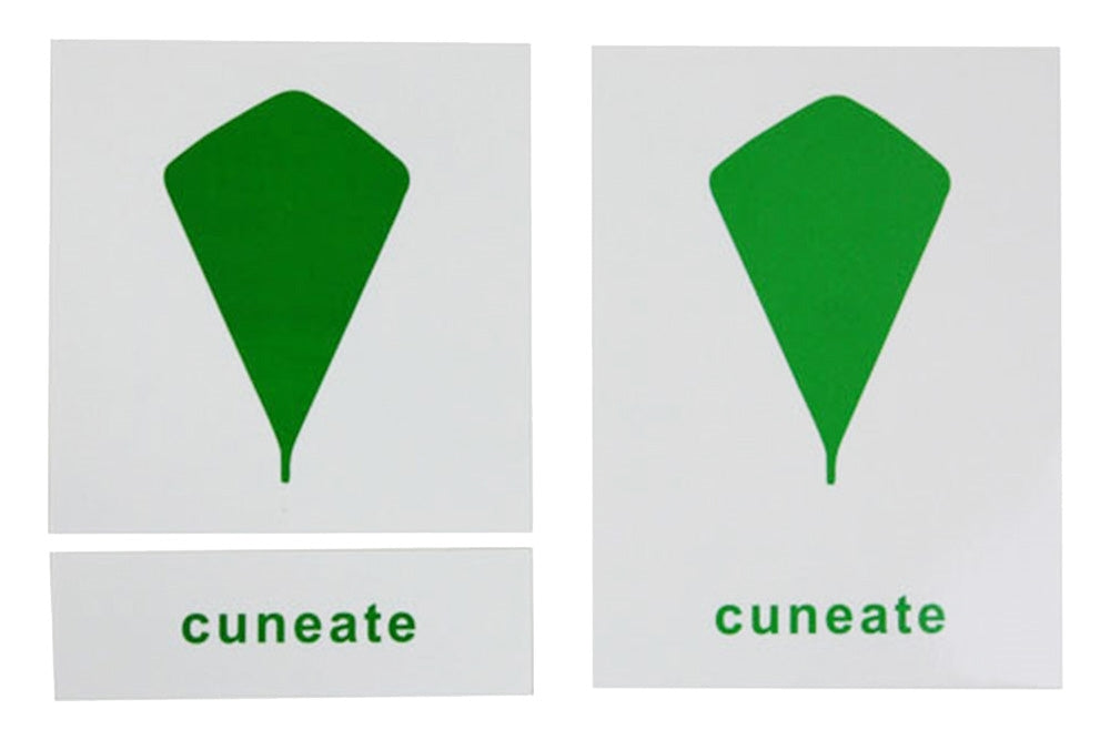 Three cuneate leaf cards: labeled, unlabeled, and label only.