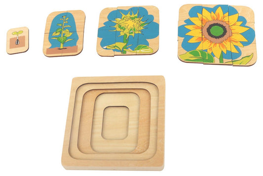 Sunflower life cycle puzzle with four stacking layers. The life cycle starts at the smallest, deepest layer and concludes at the topmost layer which depicts a fully grown sunflower.