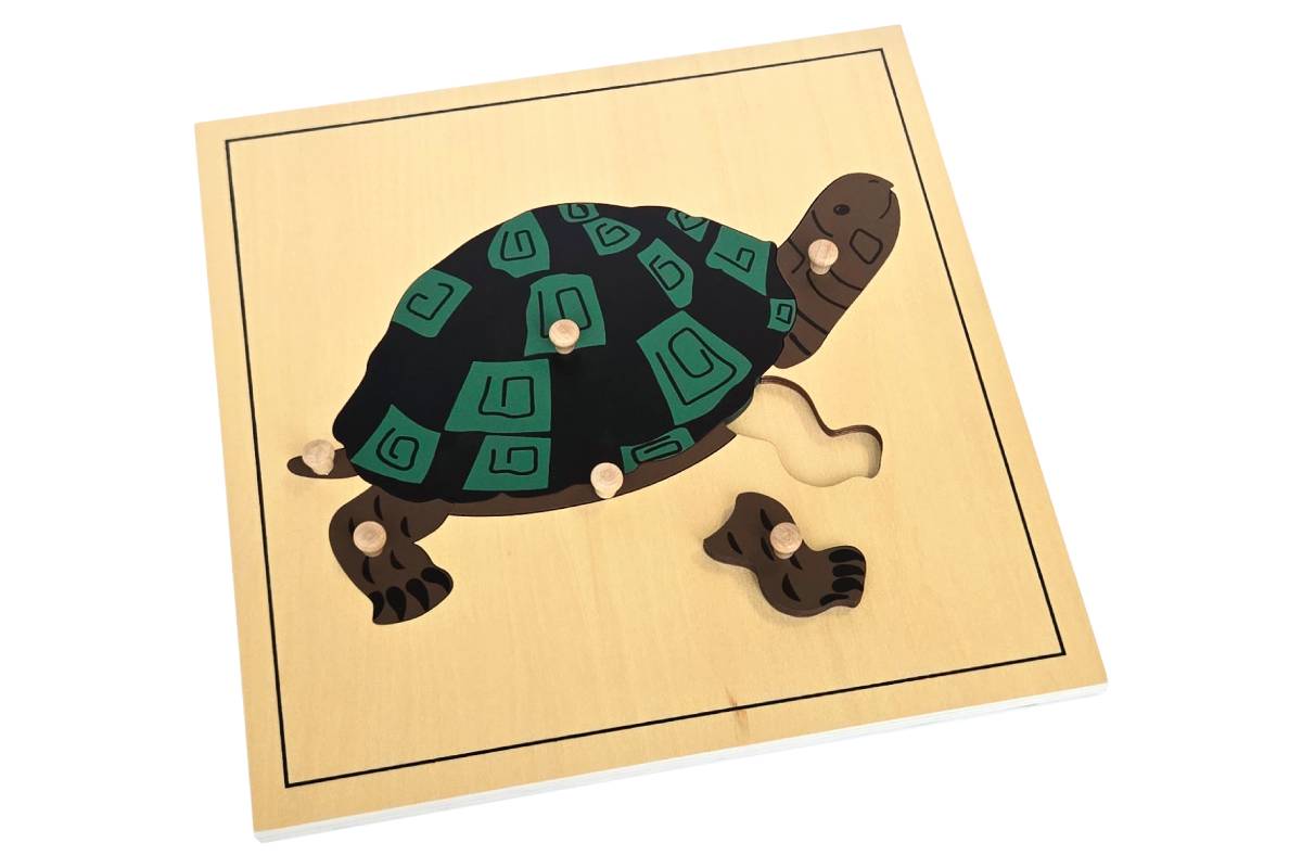 Turtle puzzle with wooden knobs.