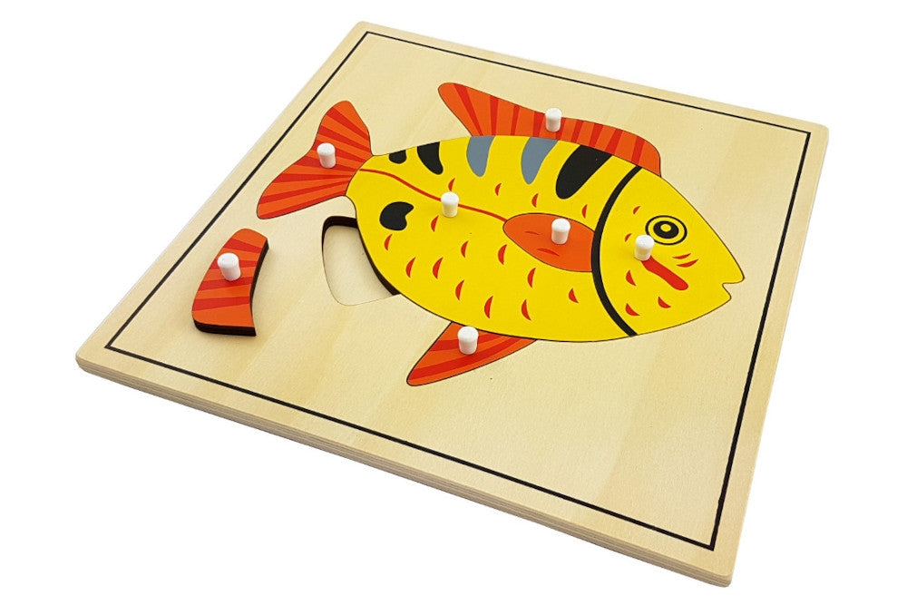 Fish puzzle with pieces representing the body, head, pectoral fin, dorsal fin, pelvic fin, anal fin, and tail fin. Puzzle has a thin black border.