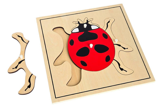 Ladybug Puzzle