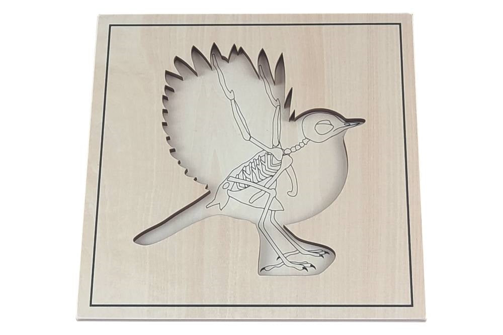 Puzzle base depicting bird skeleton.