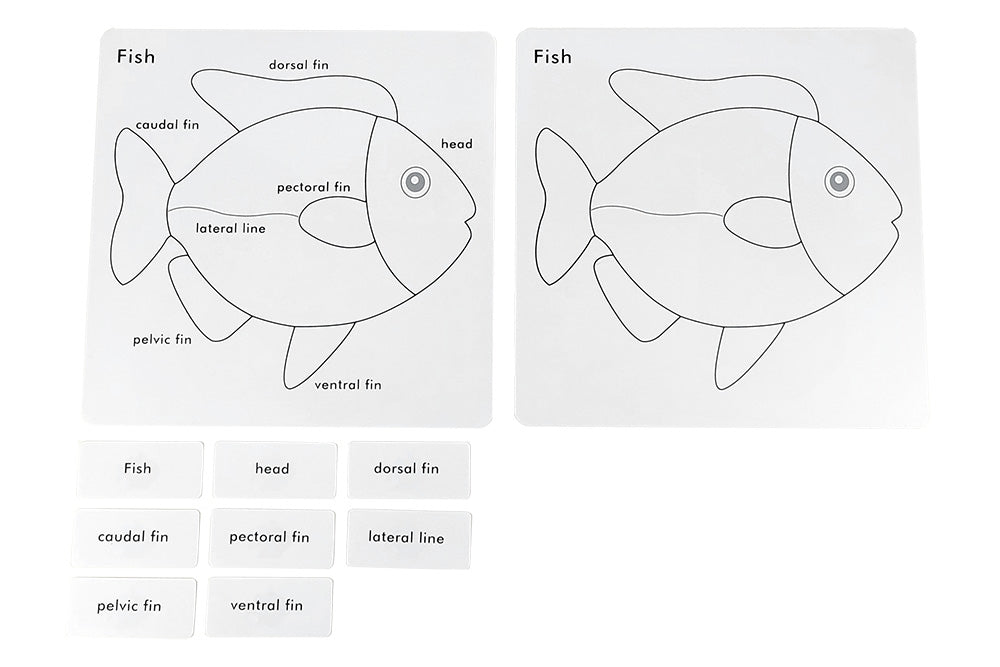 Labeled and unlabaled fish control charts and eight labels.