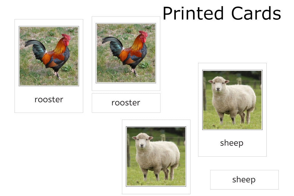 12 printed farm animal 3-part cards, including "rooster" and "sheep."