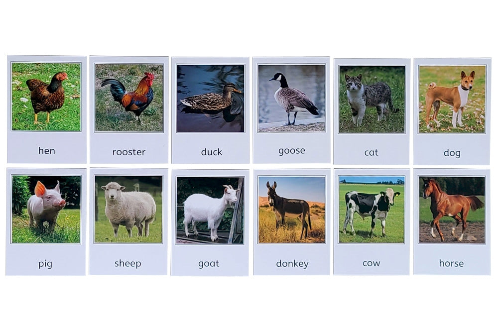 12 printed farm animal 3-part cards: hen, rooster, duck, goose, cat, dog, pig, sheep, goat, donkey, cow, and horse.