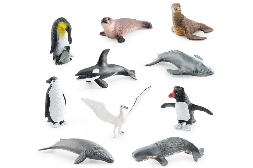 10 Antarctic animal models: emperor penguin, blue whale, rockhopper penguin, humpback whale, chinstrap penguin, sperm whale, crabeater seal, wandering albatross, orca and Antarctic fur seal.