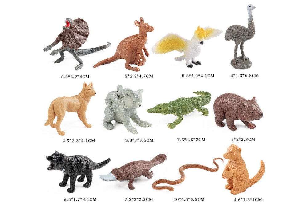 Australian animal model measurements. Length ranges 3.8-10 cm.