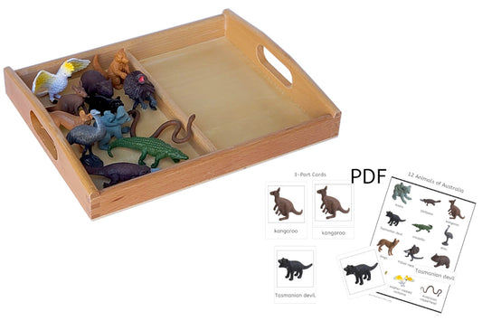 12 animals of Australia models with 2-compartment wooden tray and PDF.