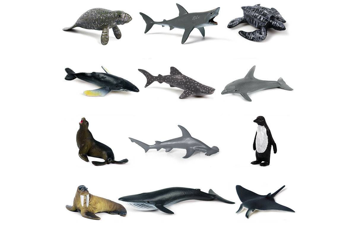 12 marine animal models in realistic colours.