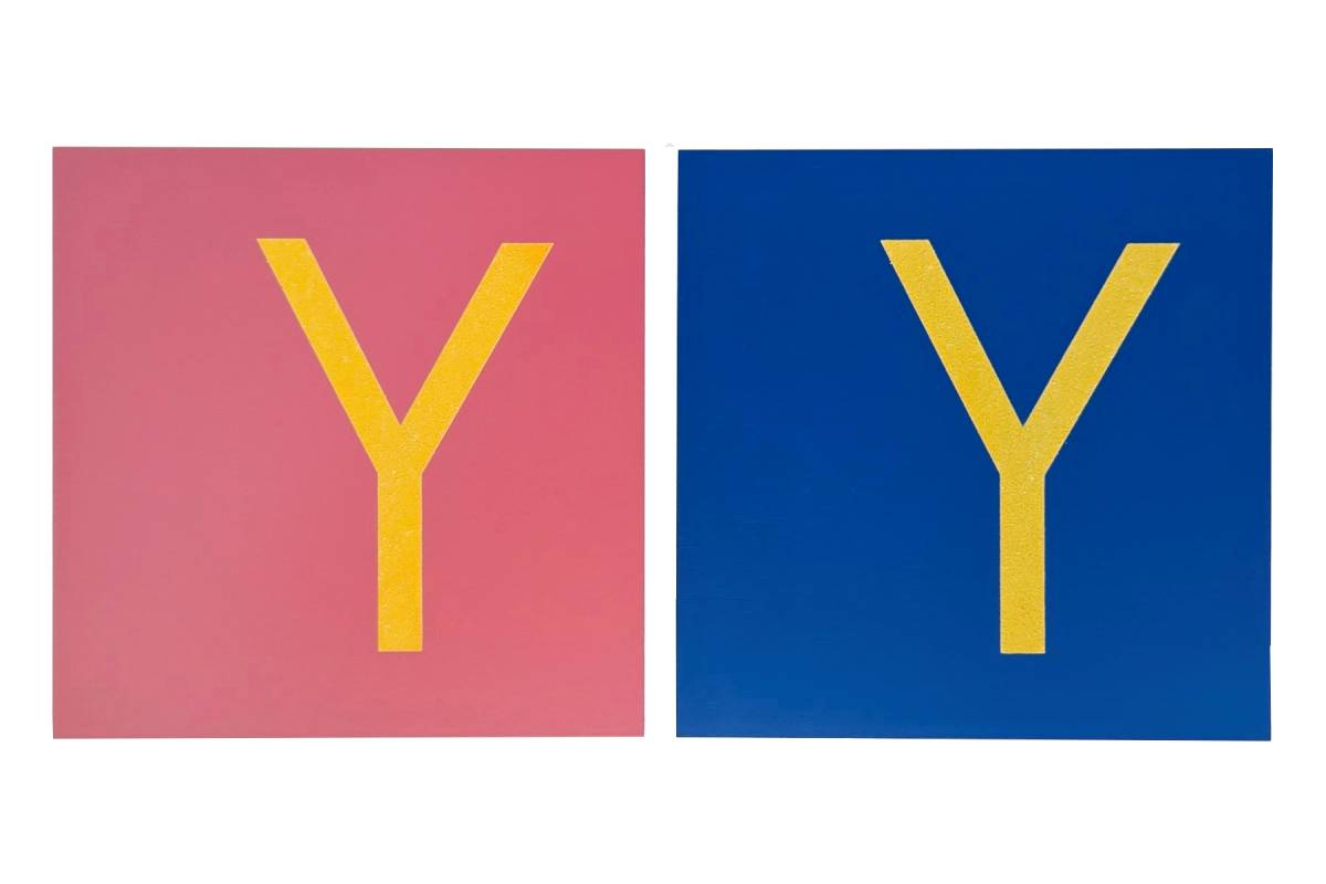 Two 'Y' cards, one with pink background and the other with blue.