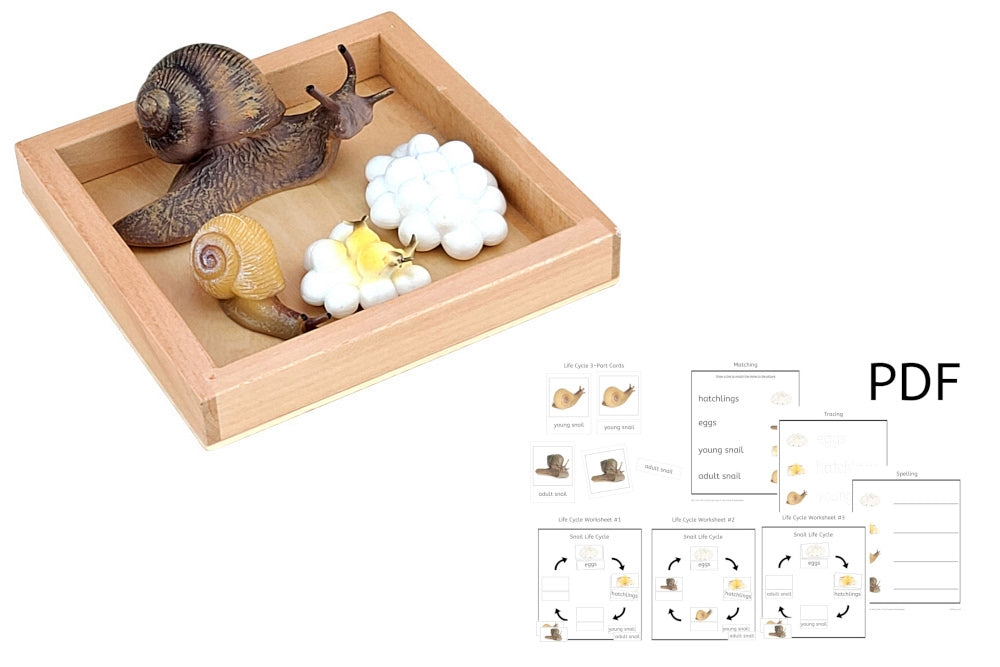 Square Tray Set