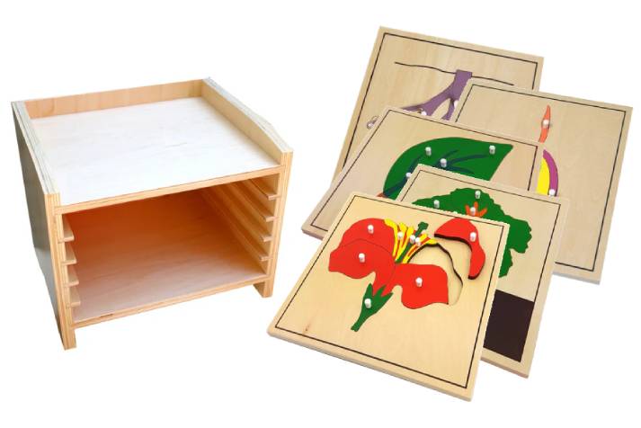 IFIT Montessori: 5 Plant Puzzles with Cabinet