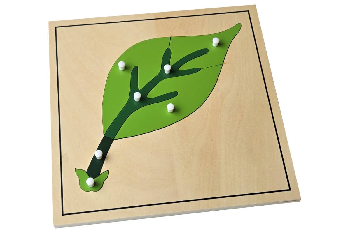 Leaf Puzzle