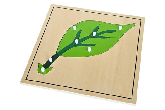 Leaf Puzzle