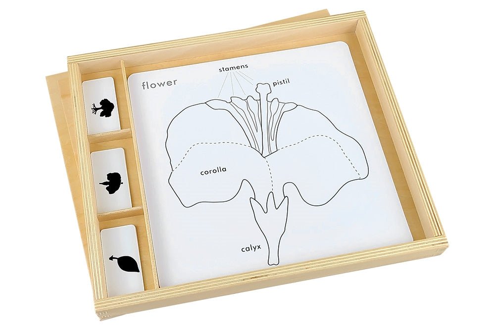 IFIT Montessori: Botany Puzzle Activity Set