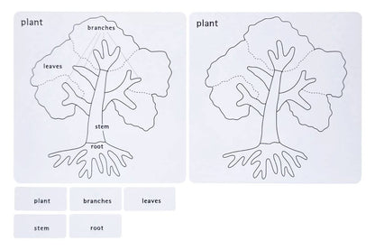 Botany Puzzle Activity Set