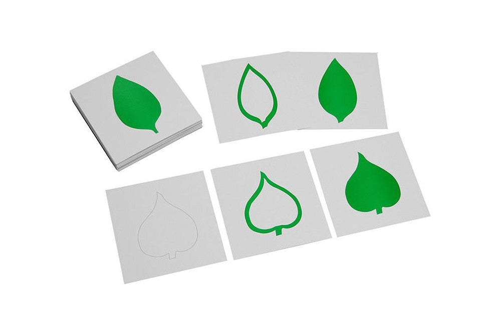 Leaf cards for the botany cabinet. Each leaf comes in three cards: thin outline, thick outline, and filled in.