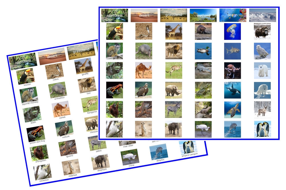 Animal Habitat Sorting Cards (PDF)