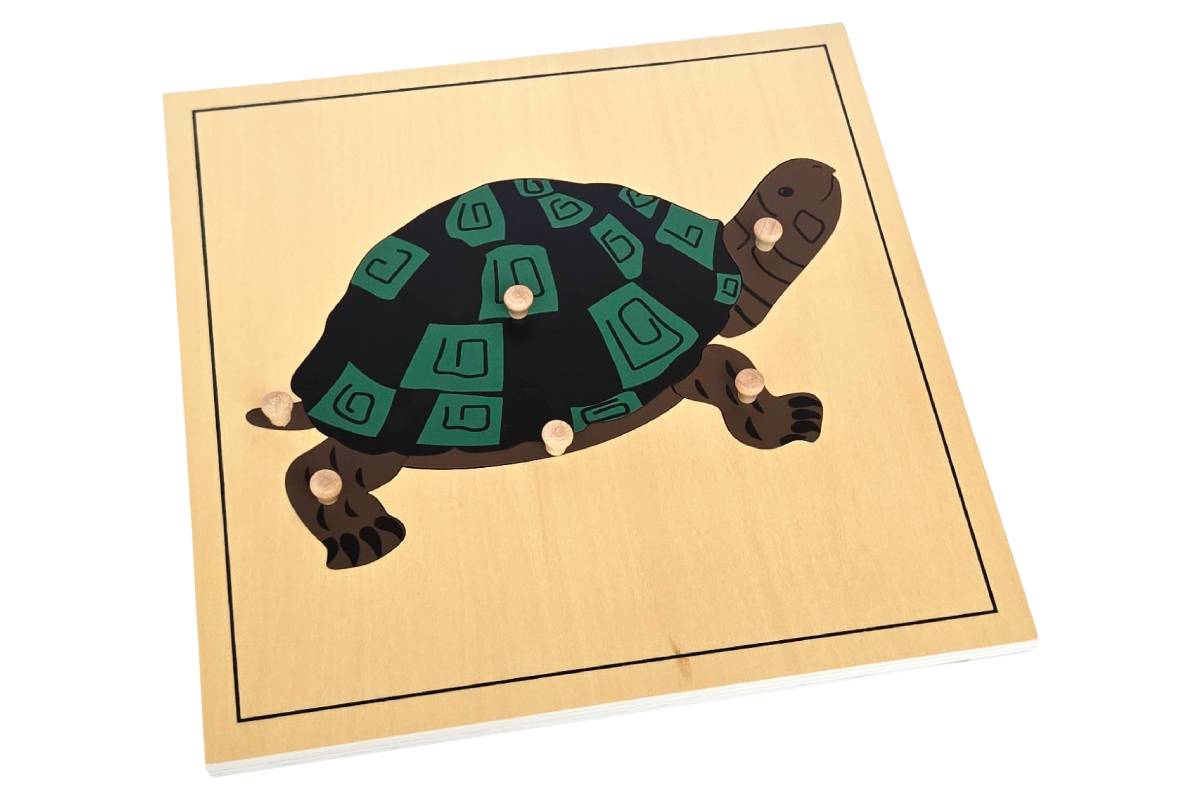 Turtle puzzle with wooden knobs.