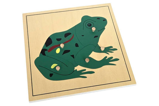 Frog puzzle with wooden knobs.