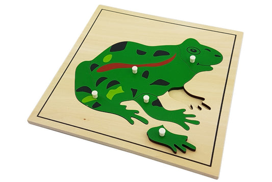 Frog puzzle with pieces representing the head, body, forelegs, and hind legs. Puzzle has a thin black border.