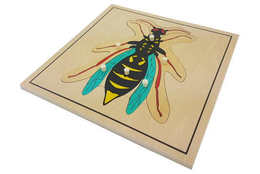 Wasp puzzle with pieces representing the head and thorax, abdomen, wings, and legs. Puzzle has a thin black border.