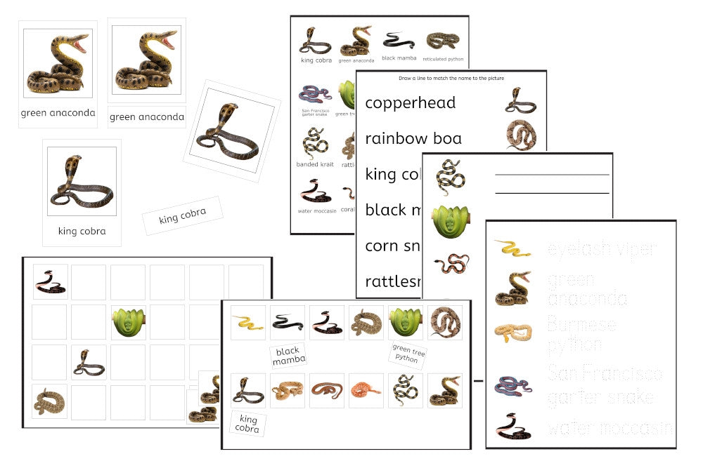 Snakes Exercise Set (PDF)