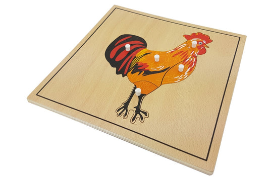 Rooster puzzle with pieces representing the head, breast, body, tail, and feet. Puzzle has a thin black border.