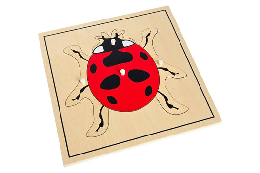 Ladybug Puzzle