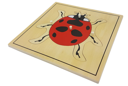 Ladybug puzzle with pieces representing the head, elytra, and legs. Puzzle has a thin black border.