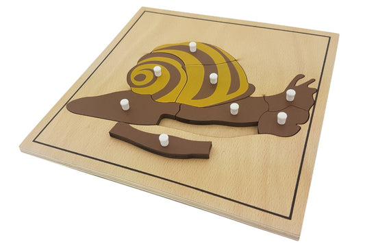 Snail puzzle with pieces representing the shell, apex, foot, and head. Puzzle has a thin black border.