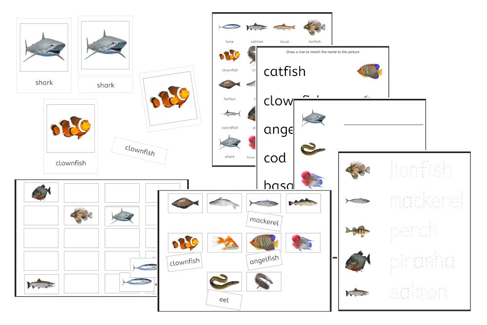 Fishes Exercise Set (PDF)