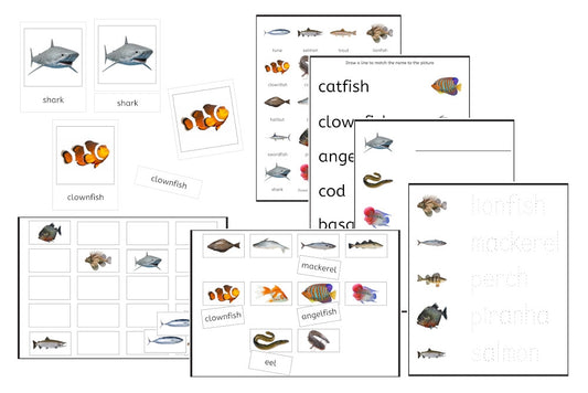 Fishes Exercise Set (PDF)