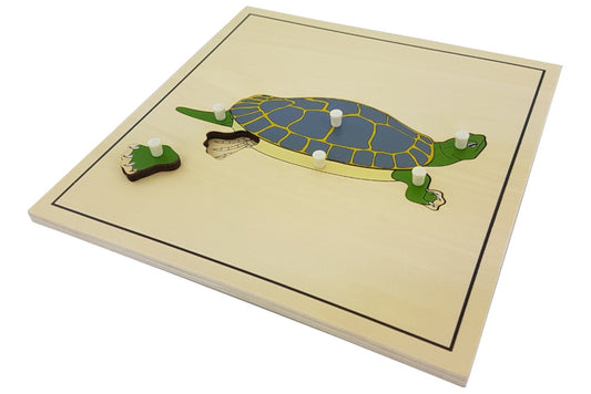 Wooden puzzle with pieces representing the parts of a turtle. The rear foot is removed to reveal the skeleton beneath.