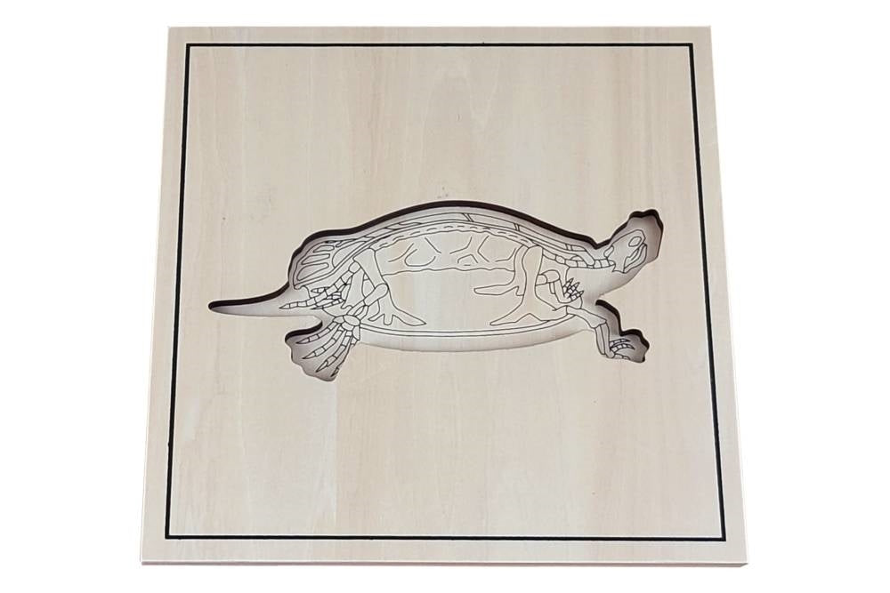 IFIT Montessori: Turtle Puzzle with Skeleton