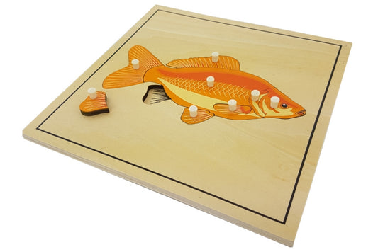 Wooden puzzle with pieces representing the parts of a fish. The anal fin is removed to reveal the skeleton beneath.