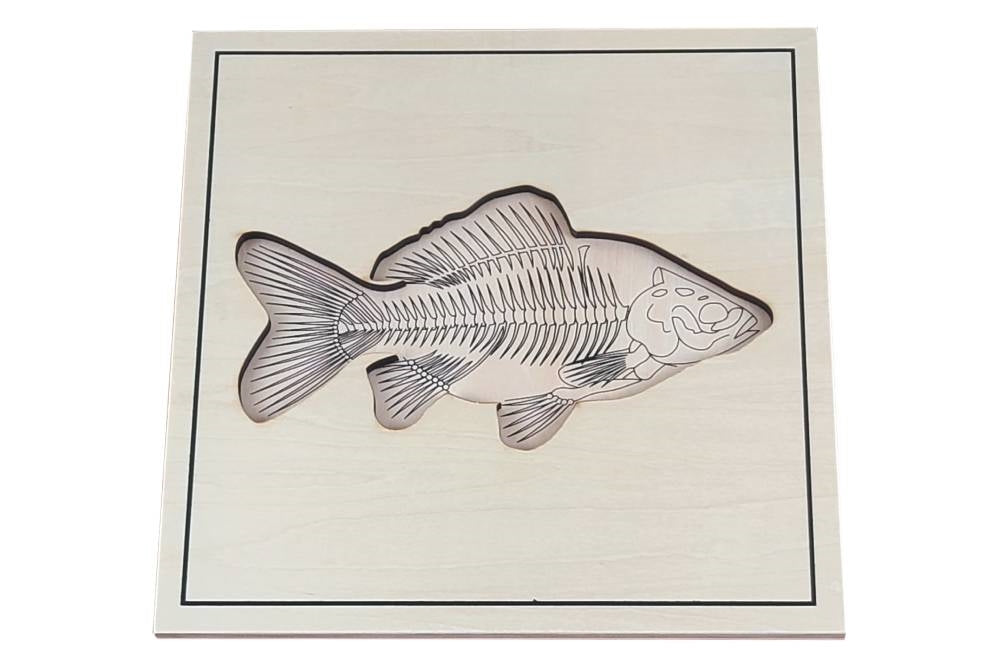 Puzzle base depicting fish skeleton.