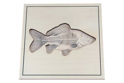 Puzzle base depicting fish skeleton.