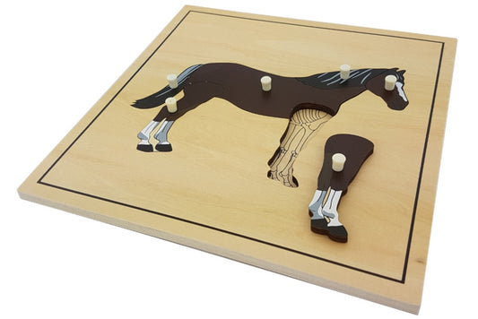 Wooden puzzle with pieces representing the parts of a horse. The forelegs are removed to reveal the skeleton beneath.