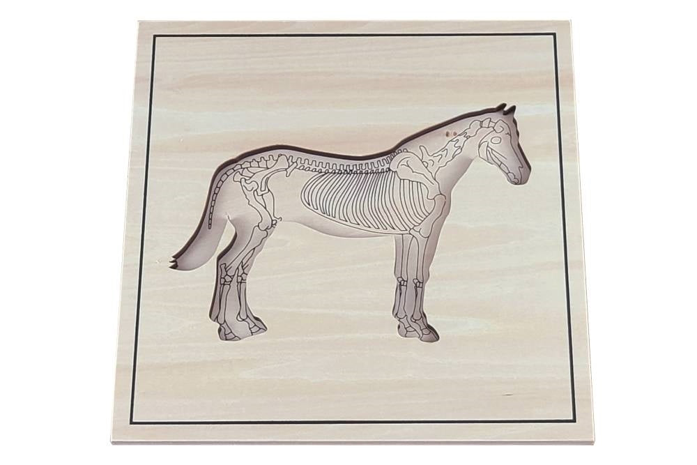 Puzzle base depicting horse skeleton.