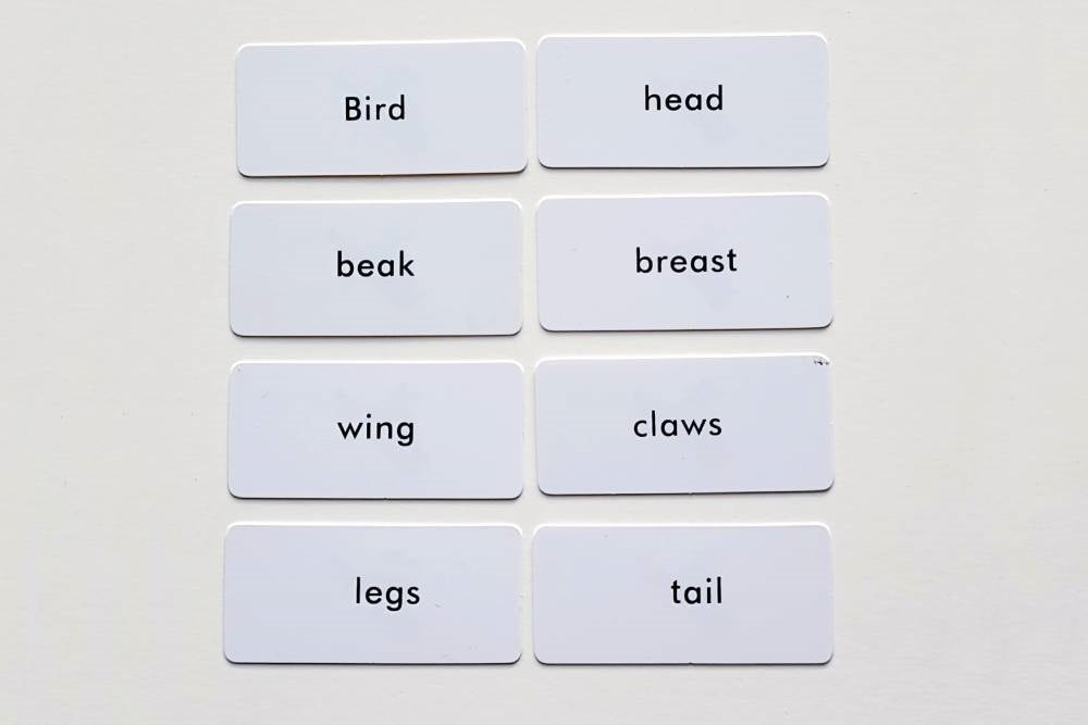 IFIT Montessori: Bird Label Cards for Animal Puzzle Activity Set