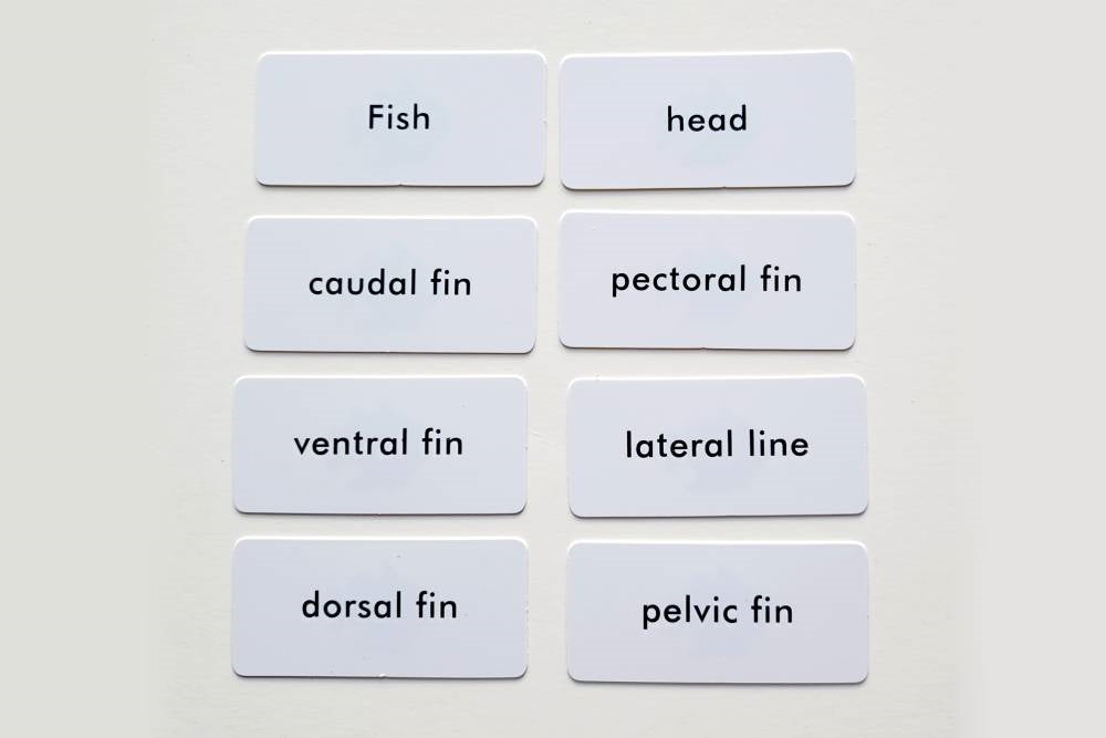 IFIT Montessori: Fish Label Cards for Animal Puzzle Activity Set