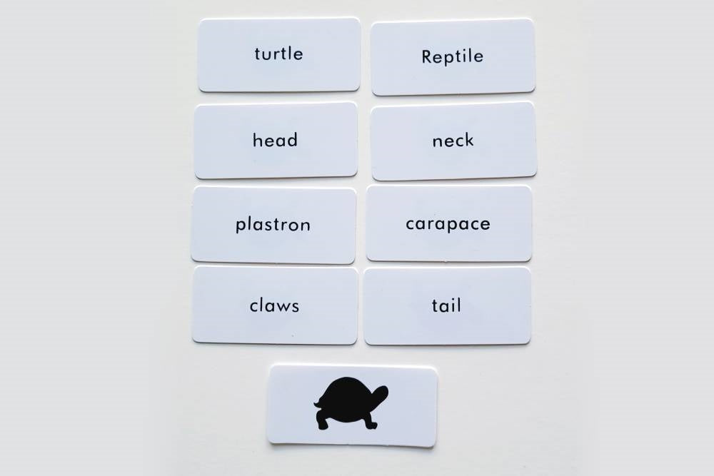 IFIT Montessori: Turtle Label Cards for Animal Puzzle Activity Set