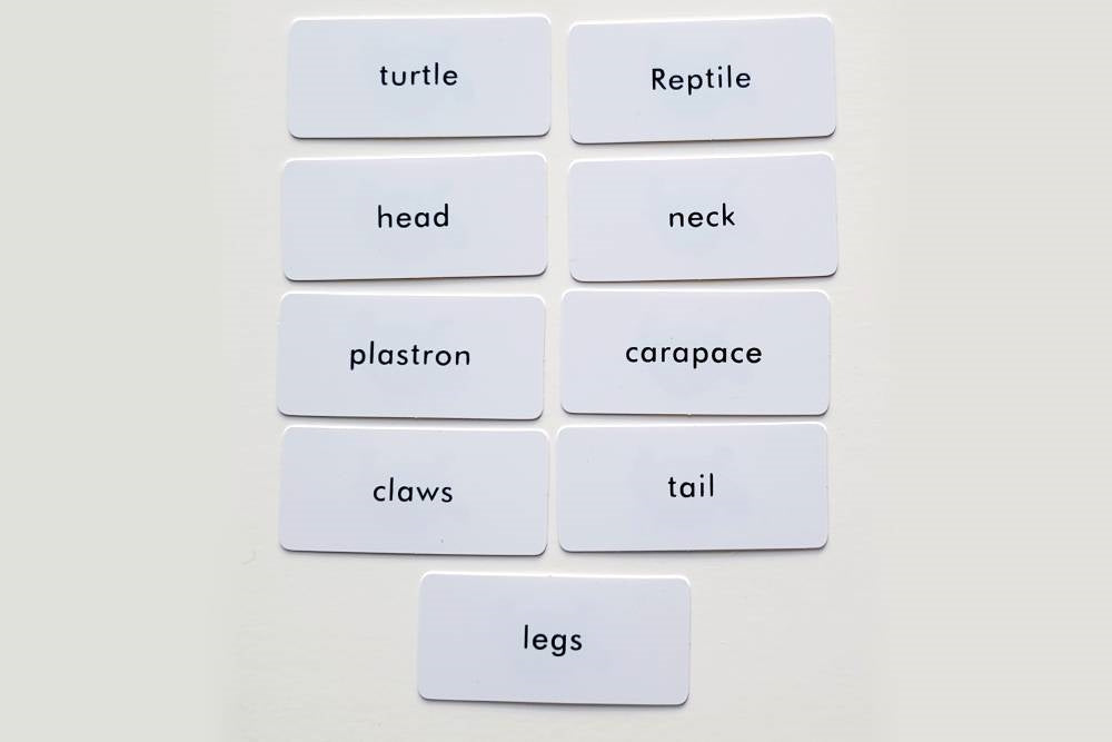 IFIT Montessori: Turtle Label Cards for Animal Puzzle Activity Set