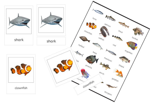 Fishes 3-Part Cards (PDF)